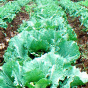 Como Reduzir Riscos com Plantas no Agronegócio