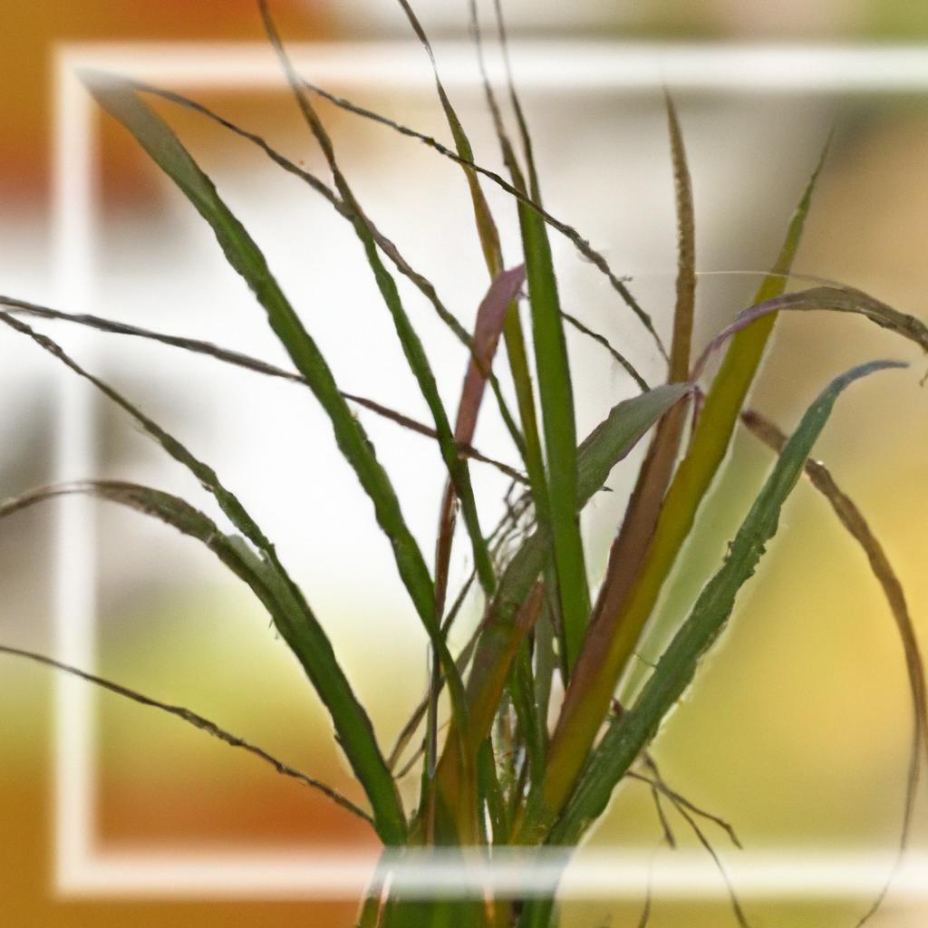 Interação Benéfica entre Espécies Vegetais